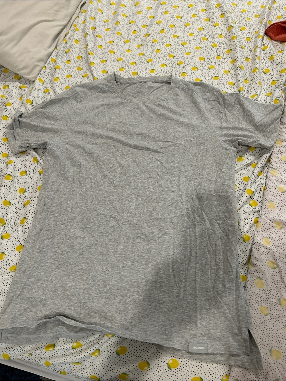 Legends Men's Lightweight Crewneck T‑Shirt - Gray